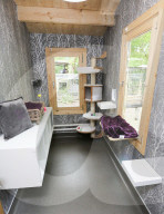 FEATURE - Katzenhotel in Kent