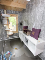 FEATURE - Katzenhotel in Kent