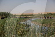 NEWS - Irak: Alltag in Mossul