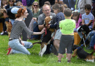 PEOPLE - Eleanor Tomlinson an der Dog Show in Adlestrop