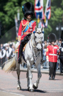 FEATURE - Soldat kollabiert während des Strammstehens an der Colonel's Review