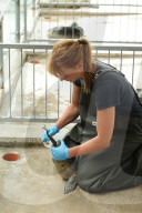 FEATURE - Seehundebabyaufzucht an der Nordsee