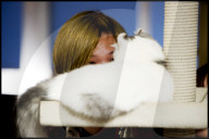 FEATURE -  Tokio: Das Katzencafe Calico