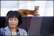 FEATURE -  Tokio: Das Katzencafe Calico