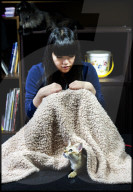 FEATURE -  Tokio: Das Katzencafe Calico
