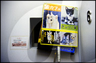 FEATURE -  Tokio: Das Katzencafe Calico