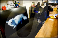 FEATURE -  Tokio: Das Katzencafe Calico