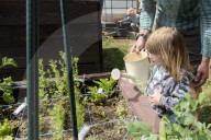 FEATURE - Städtischer Gemüsegarten