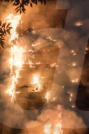 NEWS - London Grossbrand Grenfell Tower - Dramatische Bilder
