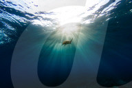 FEATURE - Surfwettbewerb Outerknown Fiji Pro