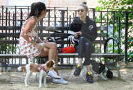 PEOPLE - Gigi Hadid mit ihrem kleinen Hund im Park