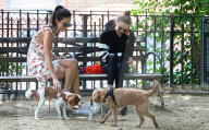 PEOPLE - Gigi Hadid mit ihrem kleinen Hund im Park