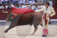 NEWS - Bulle spiesst Torero auf – Ivan Fandiño stirbt nach Stierkampf (Archivbilder)