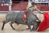 NEWS - Bulle spiesst Torero auf – Ivan Fandiño stirbt nach Stierkampf (Archivbilder)