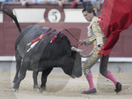 NEWS - Bulle spiesst Torero auf – Ivan Fandiño stirbt nach Stierkampf (Archivbilder)