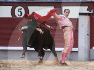 NEWS - Bulle spiesst Torero auf – Ivan Fandiño stirbt nach Stierkampf (Archivbilder)