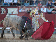 NEWS - Bulle spiesst Torero auf – Ivan Fandiño stirbt nach Stierkampf (Archivbilder)