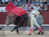 NEWS - Bulle spiesst Torero auf – Ivan Fandiño stirbt nach Stierkampf (Archivbilder)