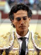 NEWS - Bulle spiesst Torero auf – Ivan Fandiño stirbt nach Stierkampf (Archivbilder)