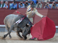 NEWS - Bulle spiesst Torero auf – Ivan Fandiño stirbt nach Stierkampf (Archivbilder)