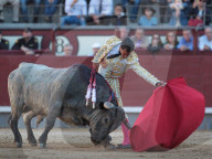 NEWS - Bulle spiesst Torero auf – Ivan Fandiño stirbt nach Stierkampf (Archivbilder)