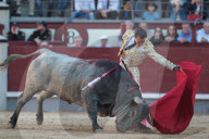 NEWS - Bulle spiesst Torero auf – Ivan Fandiño stirbt nach Stierkampf (Archivbilder)