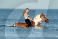 FEATURE - Ein Bad zur Abkühlung für die Reitpferde