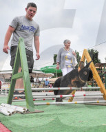 FEATURE - Kanin-Hop: Springende Hasen