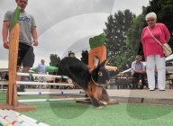 FEATURE - Kanin-Hop: Springende Hasen
