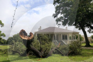 NEWS - Tropensturm Cindy trifft auf USA