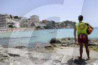 NEWS - Haifische vor Mallorca