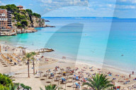 NEWS - Haifische vor Mallorca