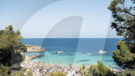NEWS - Haifische vor Mallorca