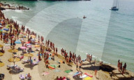NEWS - Haifische vor Mallorca