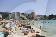 NEWS - Haifische vor Mallorca