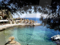 NEWS - Haifische vor Mallorca