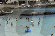 NEWS - Haifische vor Mallorca