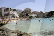 NEWS - Haifische vor Mallorca