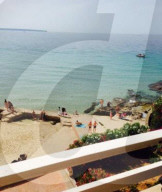 NEWS - Haifische vor Mallorca