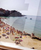 NEWS - Haifische vor Mallorca
