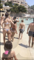 NEWS - Haifische vor Mallorca