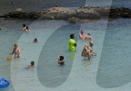 NEWS - Haifische vor Mallorca