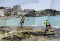 NEWS - Haifische vor Mallorca