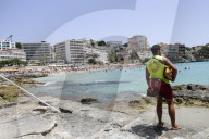 NEWS - Haifische vor Mallorca