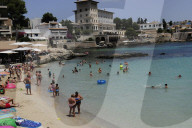 NEWS - Haifische vor Mallorca