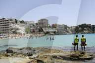 NEWS - Haifische vor Mallorca