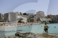 NEWS - Haifische vor Mallorca
