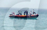 NEWS - Haifische vor Mallorca