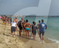 FEATURE - Haialarm bei Magaluf auf Mallorca