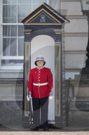 NEWS - Erste Frau an der Spitze der Royal Guards